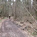 Avvistamento di un ciclista; anche oggi saranno veramente poche le persone che incontrerò nel mio lungo cammino.