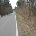 Sbucando sulla «Via per Appiano», ho cercato un paio di volte di attraversare i boschi sulla destra (seguendo tracce su Orux), ma sono stato respinto dalla fitta vegetazione e dalla scomparsa dei sentieri, per cui ho dovuto percorrere questa strada per circa 3 km.