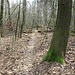 Terminato il frugale pranzo ho ripreso il cammino.