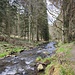 Kösslbach im Frühjahr
