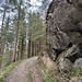 Nur kurz wird das Bachufer über diesen steilen Anstieg verlassen, danach gibt es einen Abzweig zu einer "Teufelskirche", die ich auf dem Rückweg erkunden wollte.