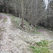 Wegen der fehlenden Internetverbindung in dem schmalen Tal bin ich auf der anderen Talseite weiter angestiegen als ich geplant hatte. Kurzentschlossen folgte ich weiter der Großen Kösslbach-Runde hinauf nach Hareth. 2012 bin ich hier schon einmal herunter gekommen und rechts weiter bis zur Donau gelaufen.