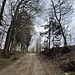 Steiler Anstieg hinauf nach Kritzing und Hareth