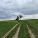 Kurz vor Hareth (Einkehrmöglichkeit) zweigt der Weg links auf diesen Feldweg ab.
