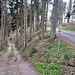 Nach dem Weiler Asing bleibt man auf der Haugsteinstraße, kann aber auch über einen Feldweg (vegetationsabhängig) abkürzen. Hier treffen die Große und die Kleine Kösslbach-Runde zusammen. Der Weg links führt mich zu meinem nächsten Zielort Schatzedt.