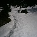 Der Schnee beginnt.