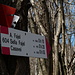 verso sella fajel