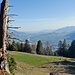 Blick ins Rheintal.