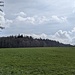 Dort muss er irgendwo sein...der höchste Punkt.