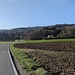 Es wird ernst. Nach Bohlingen biege vor Bankholzen zum Schienerberg ab.
