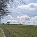Ein Pfad schlängelt sich das Feld entlang.