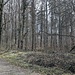 Jetzt im Frühjahr ist hinten die Gipfelkuppe noch irgendwie zu erahnen. Man könnte hier auch gerade aus gehen und meinen Abstiegsweg zum Aufstieg nehmen. Ich ging jedoch rechts...