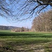 Blick die Weiten der Schienerberg-Hochfläche.