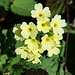 Frühling