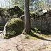 Ruine Schadburg