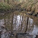 Spiegelei