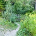  Idyllische Holzbrücke über den Drahnbach<br />Archivbild vom 4.September 2019