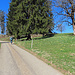 Unterwegs mit dem Bike auf dem Montagne du droit - die ersten Osterglocken zeigen sich bereits.