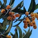 Qui la natura è avanti due mesi