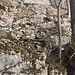 leichtes Kraxeln