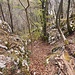also weglos mehrheitlich in der Falllinie