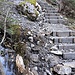 Gut angelegter Steig im Chäswald