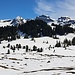 Blick von der Bergbeiz Adlerhorst über das Tubenmoos