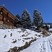 Alpl bei Neuschnee und guter Sicht