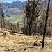 Nachdem der Wald durch einen Sturm in den fünfziger Jahren zerstört war, haben Hangsackungen hier das Wegtrassee verschluckt.