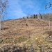Der Borkenkäfer hat in der Region schlimm gewütet, vor allem die trockenen Südhänge und alles auf Diabasgestein ist besonders betroffen.