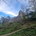 Burgruine Neu-Schellenberg
