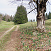Wanderung entlang von Krokussen & Osterglocken.