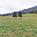 Blick zum Chasseral.