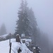 Gipfel und Nordflanke im Nebel