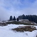 der einzige Lichtblick - während unserer Rast bei Unter Lochsitli