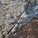 kleiner Klettergarten unter der Jägerhütte