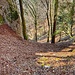 Blick zurück