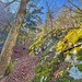 unter den Lauben PLUS. <br />Links da steile Couloir hoch oder rechts die vermoosten Felsen. Mit Pickel ist beides ganz ok. zum Glück ist es sehr trocken. 