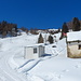 Arrivo a Piancassinella; qui si abbandona la stradina.
