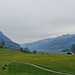 Landeplatz der Basejumper bei der Wiese von Upie