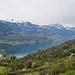 Ausblick vom Chriesisteiweg