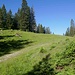 Plateau Hoher Sattel