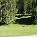 Einstieg Pfad/Steig zum Sattel Weißlehnkopf/Arnplattenspitze