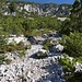 Pfad/Steig in der Geländeflanke Weißlehn