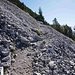 Querung Geröllflanke Pfad/Steig in der Geländeflanke Weißlehn