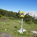 Sattel Weißlehnkopf/Arnplattenspitze