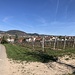 Auf dem Weg nach Guebwiller.