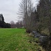 Nach dem Freundofer Steg wird der Biberweg wenig benutzt, die meisten nehmen den direkten Weg nach Münzkirchen über den Sebastianweg, den ich als Rückweg gewählt habe.