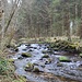 An Ostern dürfte das zarte Grün der Bäume schon etwas weiter sein. 