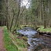 Der Biberweg führt am Kösslbach fast ausschließlich am Bachufer entlang.